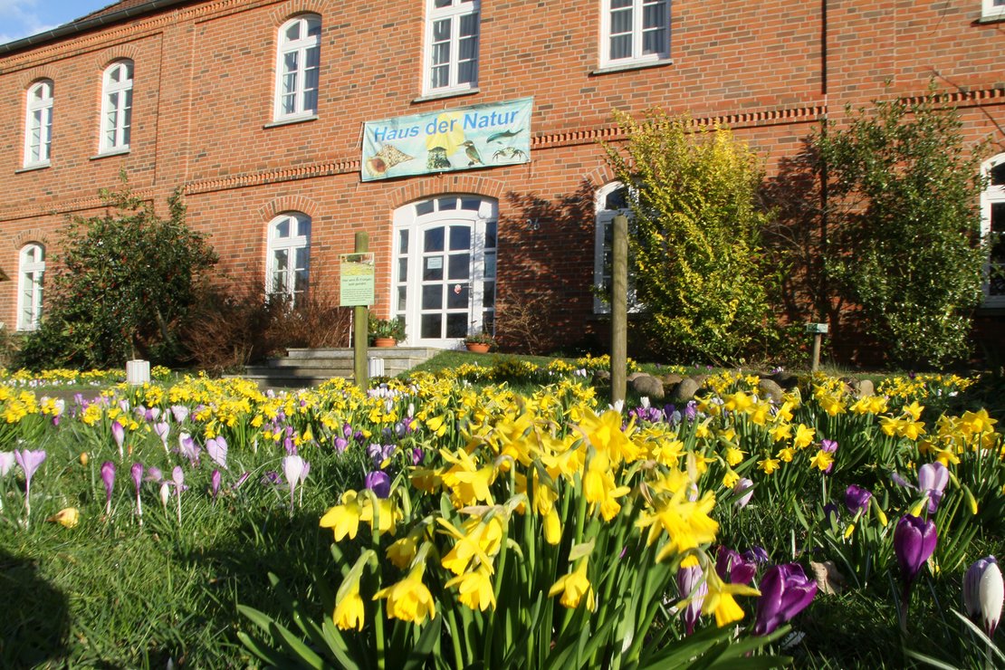 Haus der Natur mit Blumenbeet
