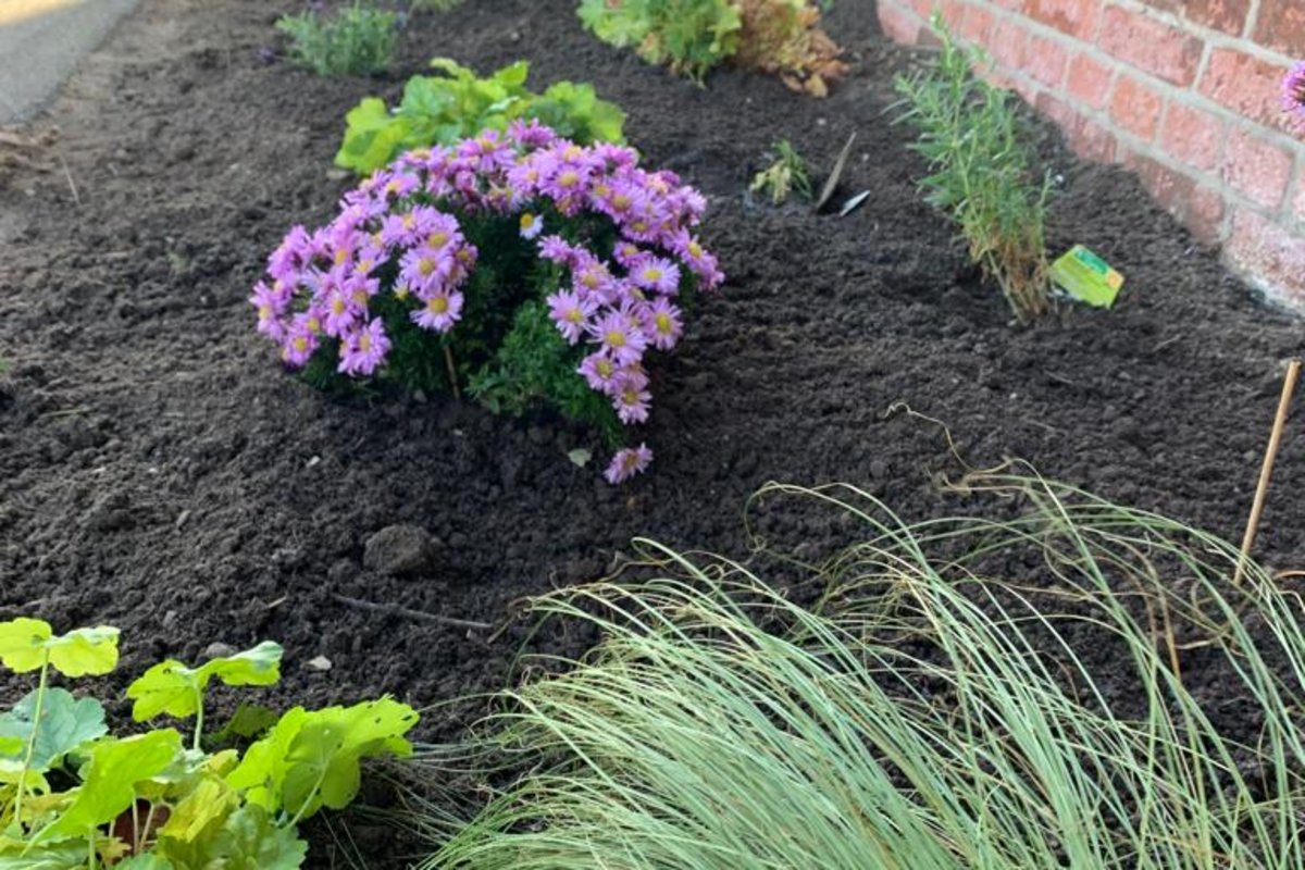Seitenansicht des Gemeinschaftshauses mit neuen Blumenpflanzen
