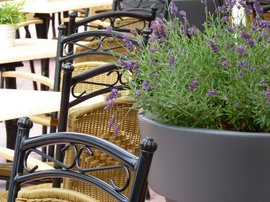 Außenaufnahme Terrasse am Haus der Begegnung