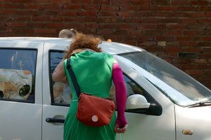 Auto als Hühnerstall