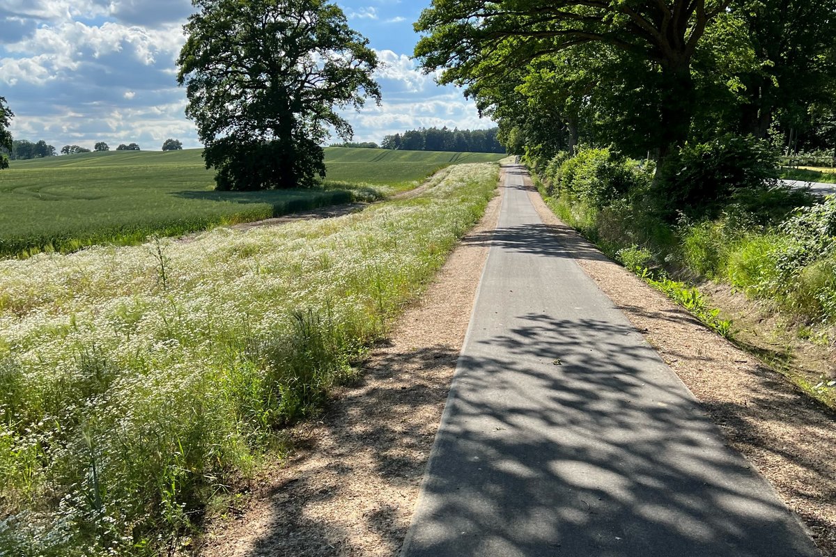 Radweg zwischen Lensahnerhof und Wahrendorf