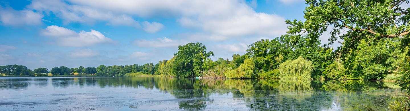 Blick über den Mühlenteich