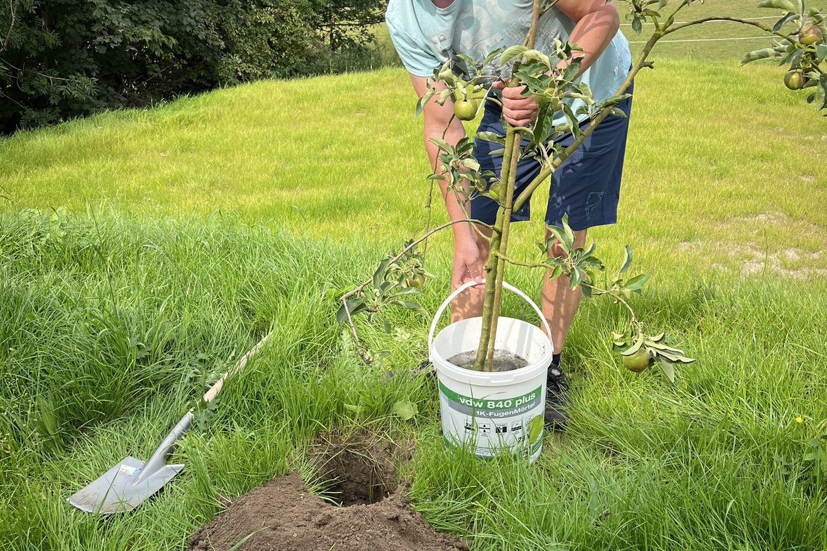 Bürgermeister Robien pflanzt einen Baum auf einer grünen Wiese