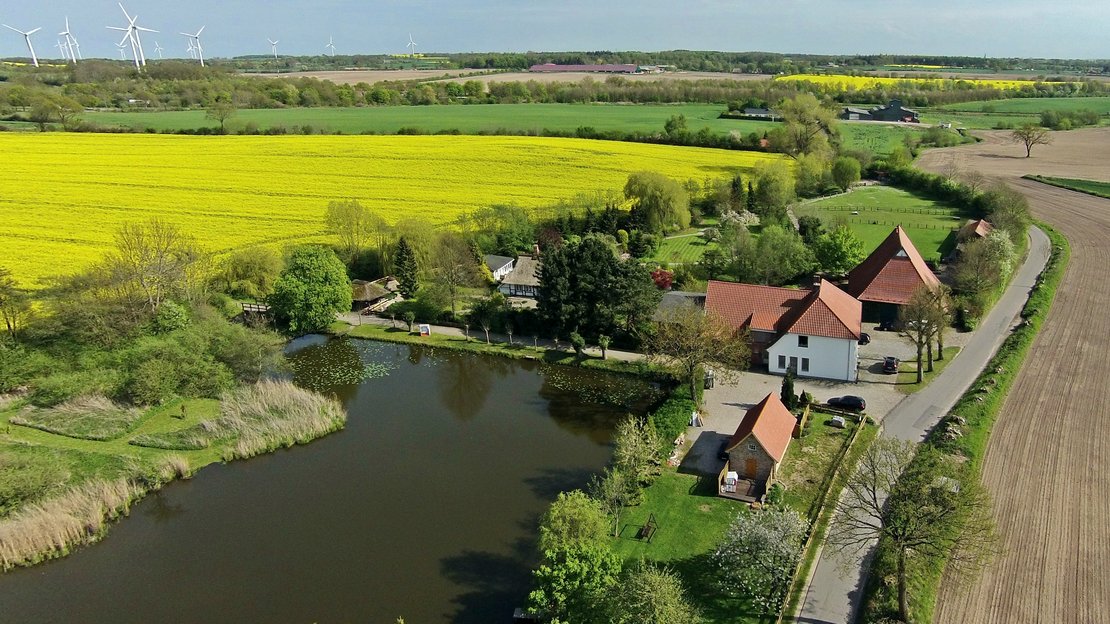 Luftaufnahme der Wassermühle mit Rapsfeld