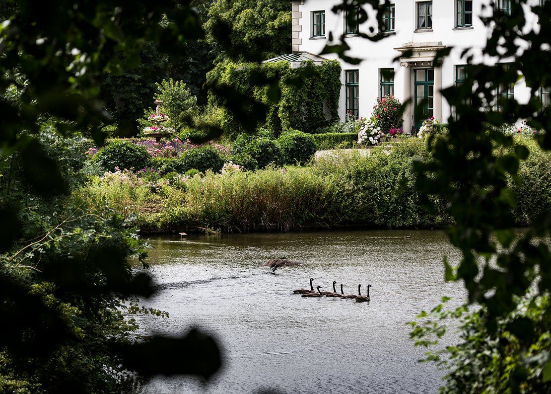 Gut Petersdorf Kanal mit Gänsen