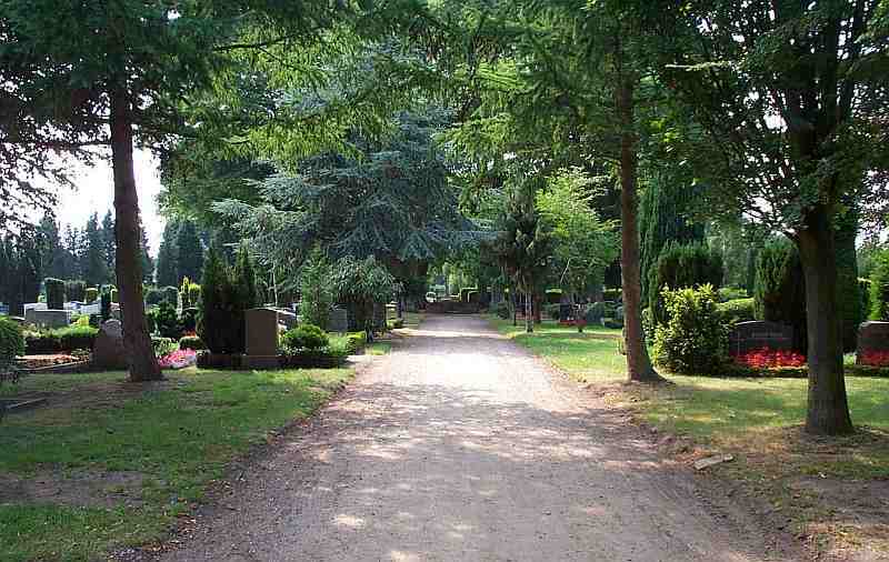 Ein Sandweg, der durch eine Allee von Bäumen führt