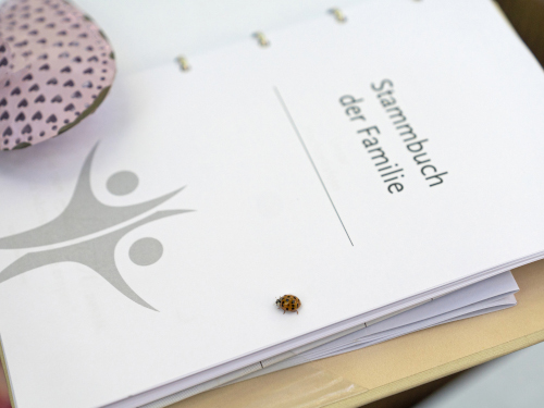 Marienkäfer auf einem Stammbuch